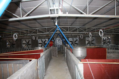 養豬場降溫設備推薦與才納冷氣設備品質保障